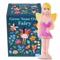 Fairies in the Garden grow your own fairy with box
