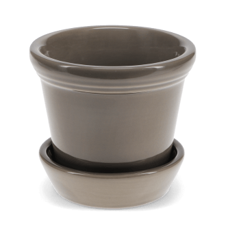 Brown ceramic plant pot with matching saucer