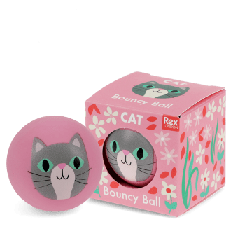 Pink bouncy ball with a cat face design next to its matching box 