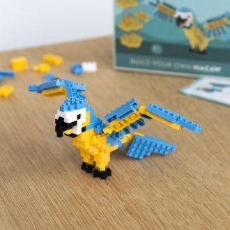 Completed macaw brick model displayed beside its packaging box.