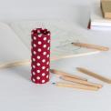 12 Pencils Small Tube Red Retrospot