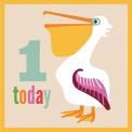 Pelican Card