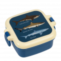 Dark blue snack pot with cream and dark blue lid featuring images of sharks