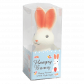 Hungry bunny night light