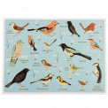 Completed 1000 piece jigsaw puzzle with illustrations of various garden birds