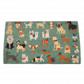 best in show doormat surface