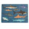 Sharks completed puzzle