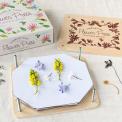 Wonder of nature flower press