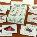 40 piece memory game with cards depicting wildlife found on nature trails on table