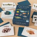 40 piece memory game with cards depicting ocean creatures on table