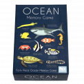 Ocean memory game box lid
