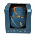 Sharks play ball in box