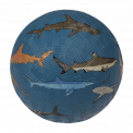 Dark blue inflatable rubber ball with sharks print