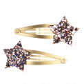 Fairies In The Garden Glitter Star Hair Clips (set Of 2)