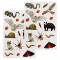 Nature Trail temporary tattoo sheets with various insects, birds, mammals, etc. found in nature