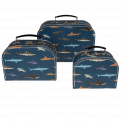 Set of 3 Sharks design cardboard storage cases