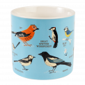 Garden Birds 350ml mug