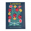 Ladybird Greeting Cards With Envelopes (pack Of 10)