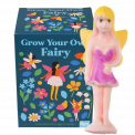 Fairies in the Garden grow your own fairy with box