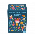 Fairies in the Garden grow your own fairy front of box