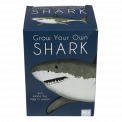 Sharks grow your own shark front of box