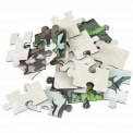 Prehistoric Land Mini Puzzle