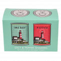 Cornish Salt And Pepper Shakers