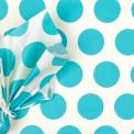 Turquoise On White Spotlight Tissue Paper (10 Sheets)