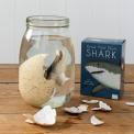 Sharks Giant Hatching Shark Egg