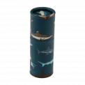 Sharks Colouring Pencils In A Tube (set Of 12)