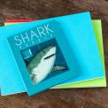 Sharks Slide Puzzle