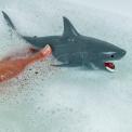 Shark Bath Time Water Squirter
