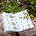 Nature Trail Journal