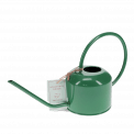 Metal Watering Can - Forest Green