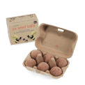 seed balls in egg box