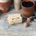 Seed balls (box of 6) - Your Garden