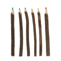 Twig coloured pencils (set of 6)