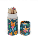  Tube of colouring pencils - Fairies in the Garden