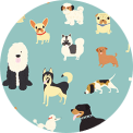 dogs on blue background