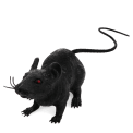 A black realistic rat with red eyes and a long tail