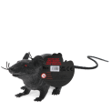 A black realistic rat with tag