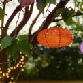 An orange paper lantern hangs in a tree at dusk
