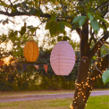 Pink and yellow lanterns hang in a tree at sunset