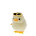 A fluffy yellow wind-up duck toy wearing yellow sunglasses