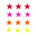 12 star-shaped bicycle spoke in different colour