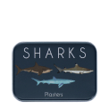 Sharks-themed plasters storage tin