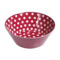 Red Retrospot Bowl