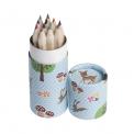 Set Of 12 Mini Woodland Design Colouring Pencils