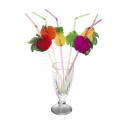 Pack Of 6 Large Fruit Straws