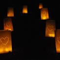 Pack Of 10 Heart Paper Lanterns